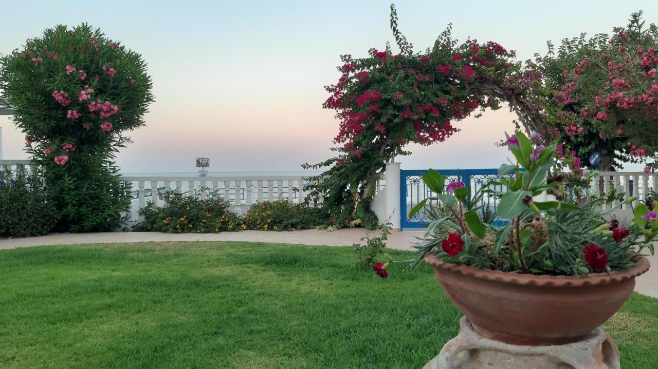 Antonios Stegna *